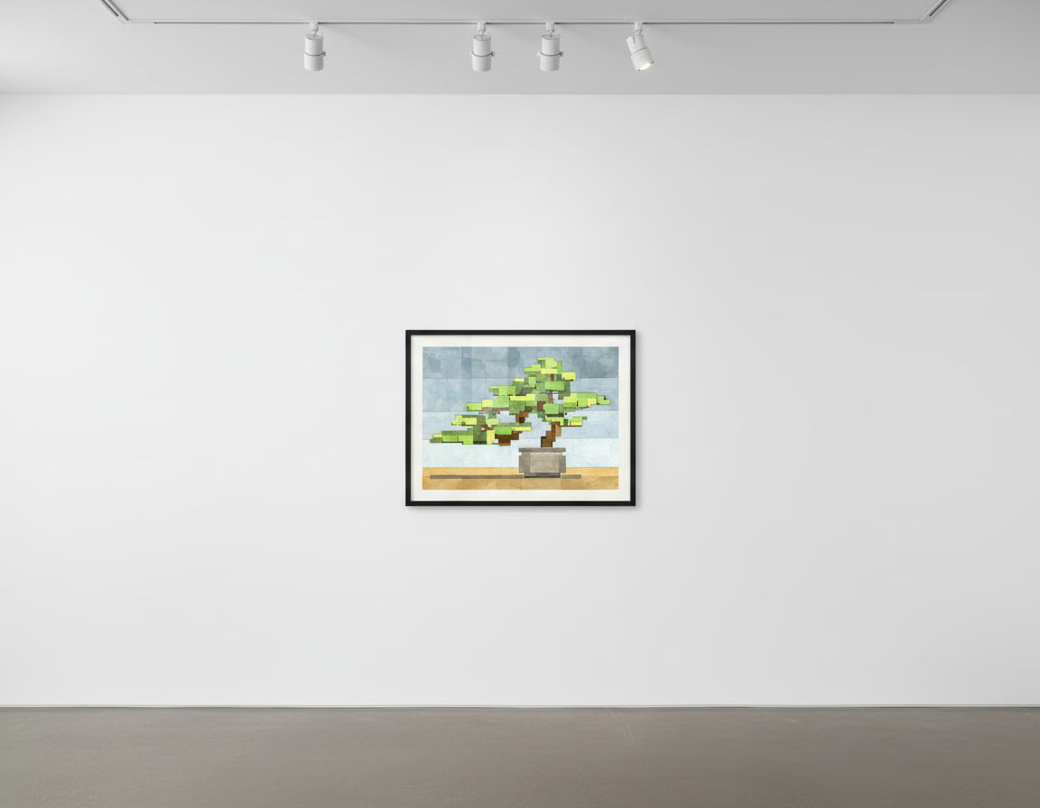 Adam Lister Bonsai No. 3
