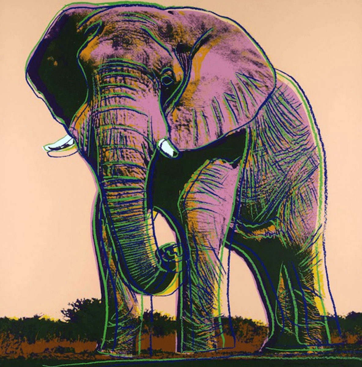 After Warhol, African Elephant - Guy Hepner Editions