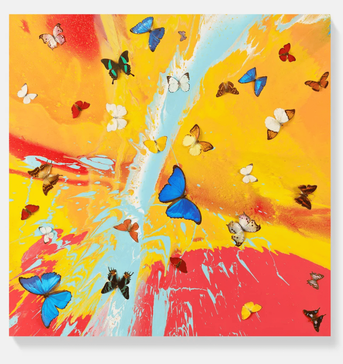 Aurora Dawn, H19 - 1, 2025 - Guy Hepner Editions