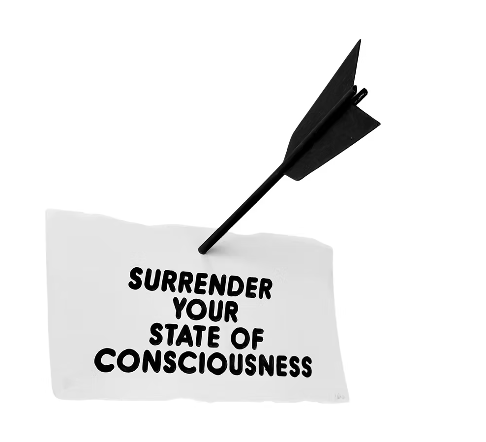 Christopher Martin Surrender Your State..., 2025 - Guy Hepner Editions