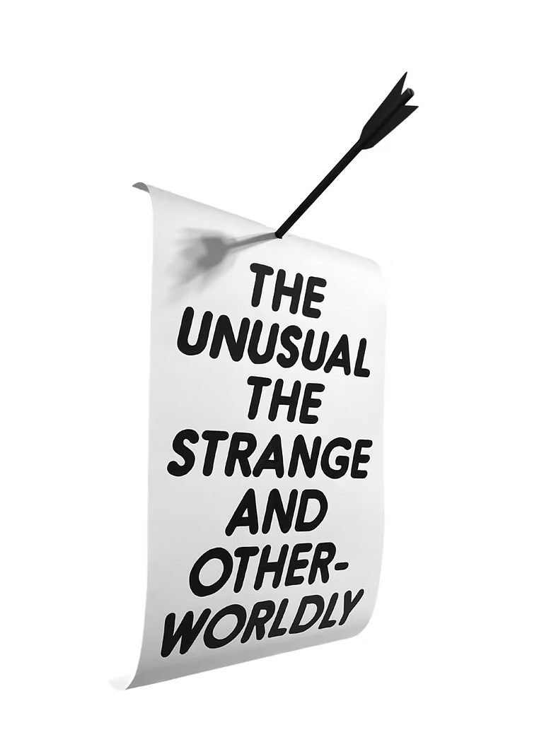 Christopher Martin The Unusual The Strange and Otherworldly, 2023 - Guy Hepner Editions
