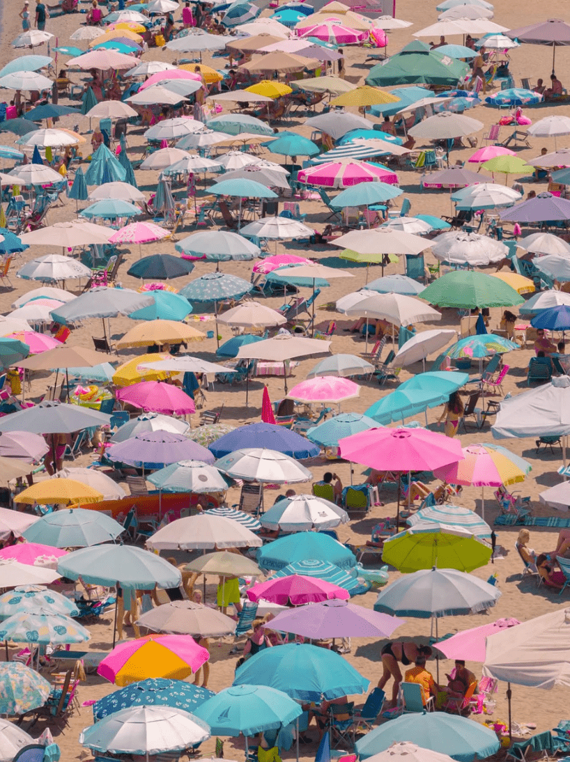 Costas Spathis, Beach Blossoms, 2025 - Guy Hepner Editions