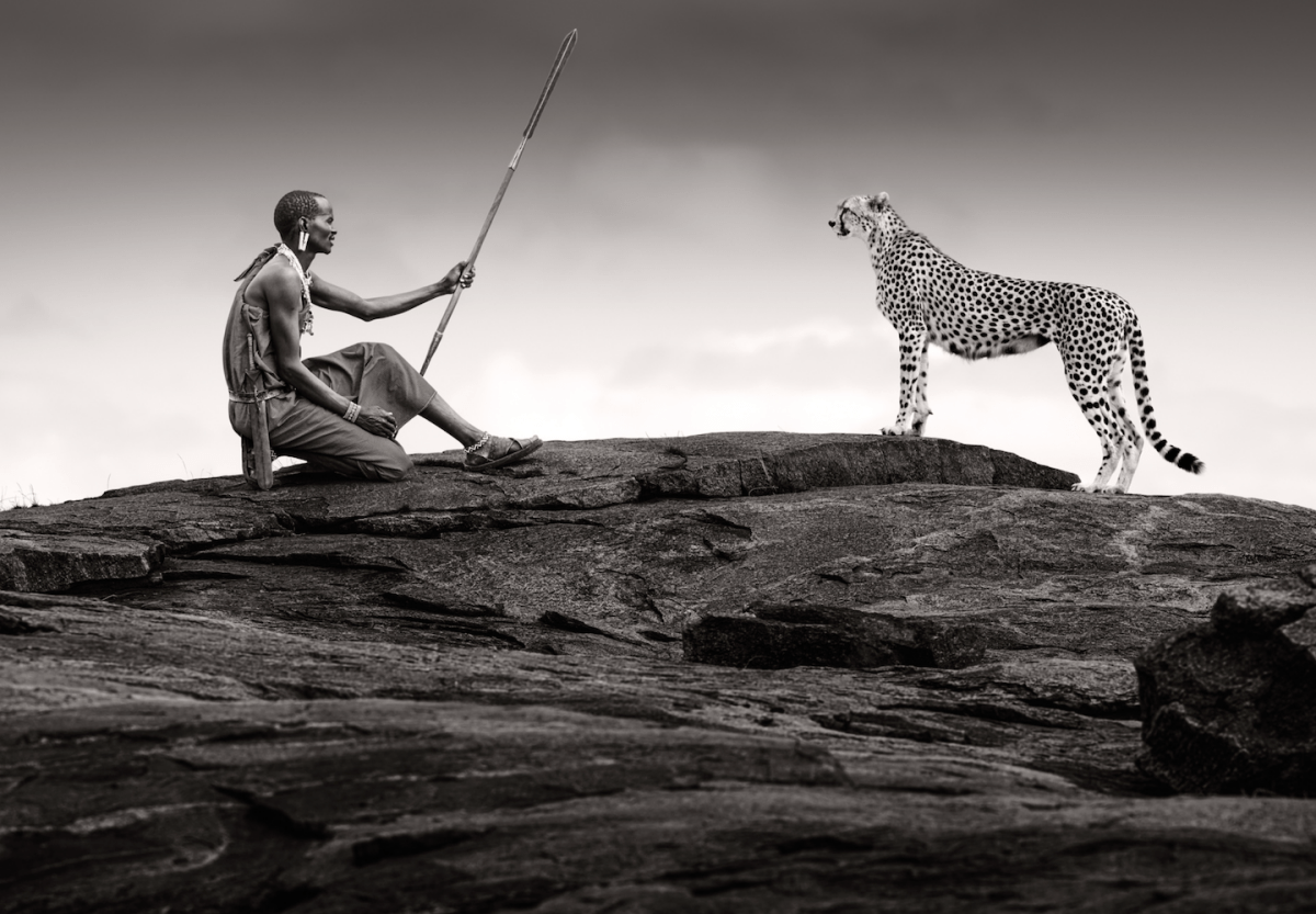 James Lewin, This Land is Our Story, 2025 - Guy Hepner Editions