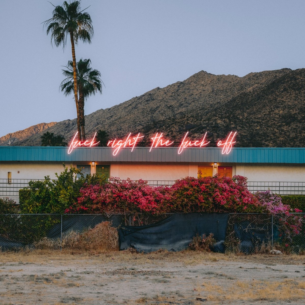 Jeffrey Czum Assertion, 2025 - Guy Hepner Editions