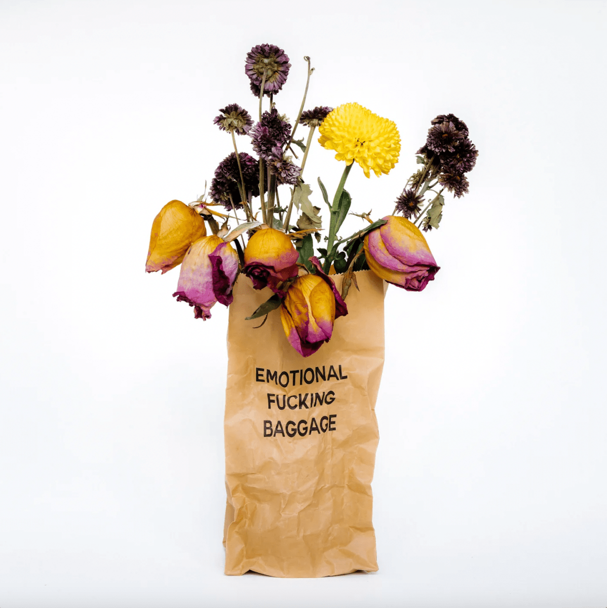 Jeffrey Czum Emotional Baggage, 2024 - Guy Hepner Editions