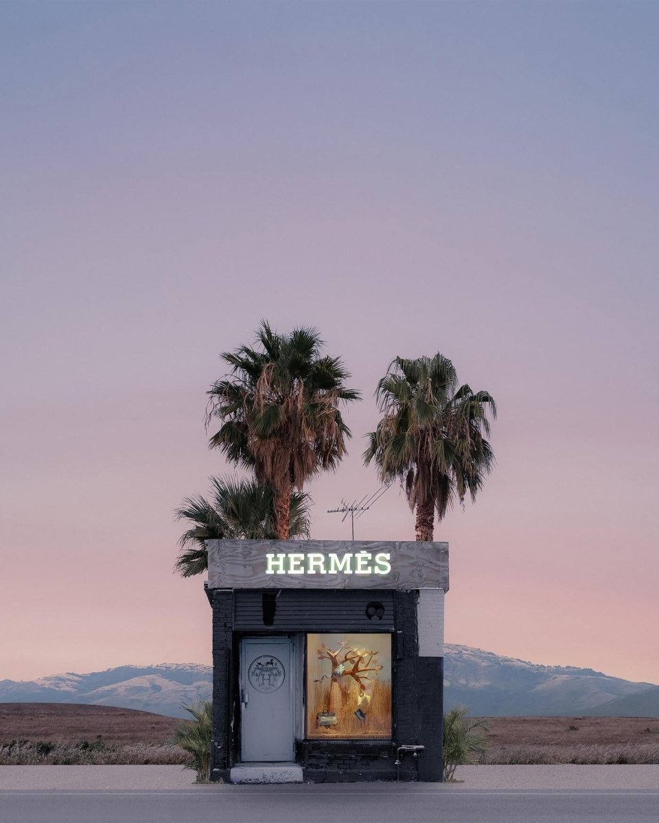 Jeffrey Czum Hermes Palms, 2022 - Guy Hepner Editions