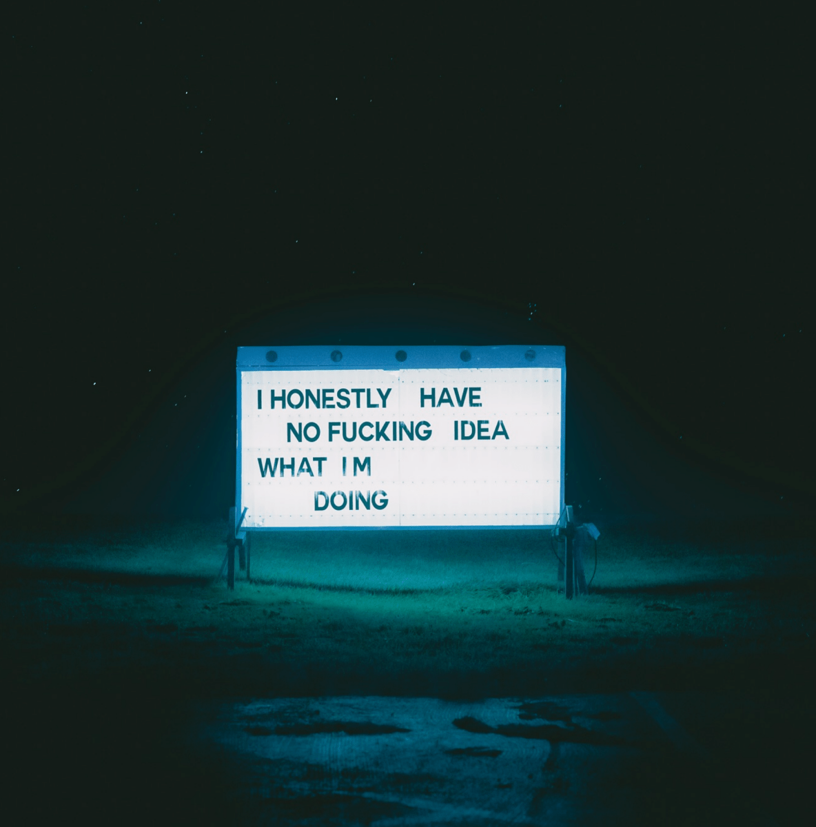 Jeffrey Czum I Honestly Have No Idea What I'm Doing, 2024 - Guy Hepner Editions