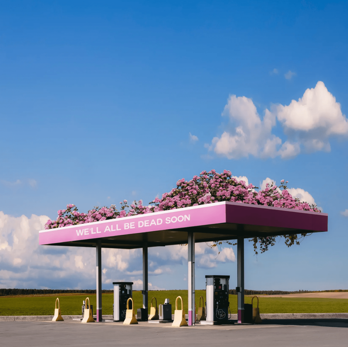 Jeffrey Czum Late Bloomer, 2023 - Guy Hepner Editions