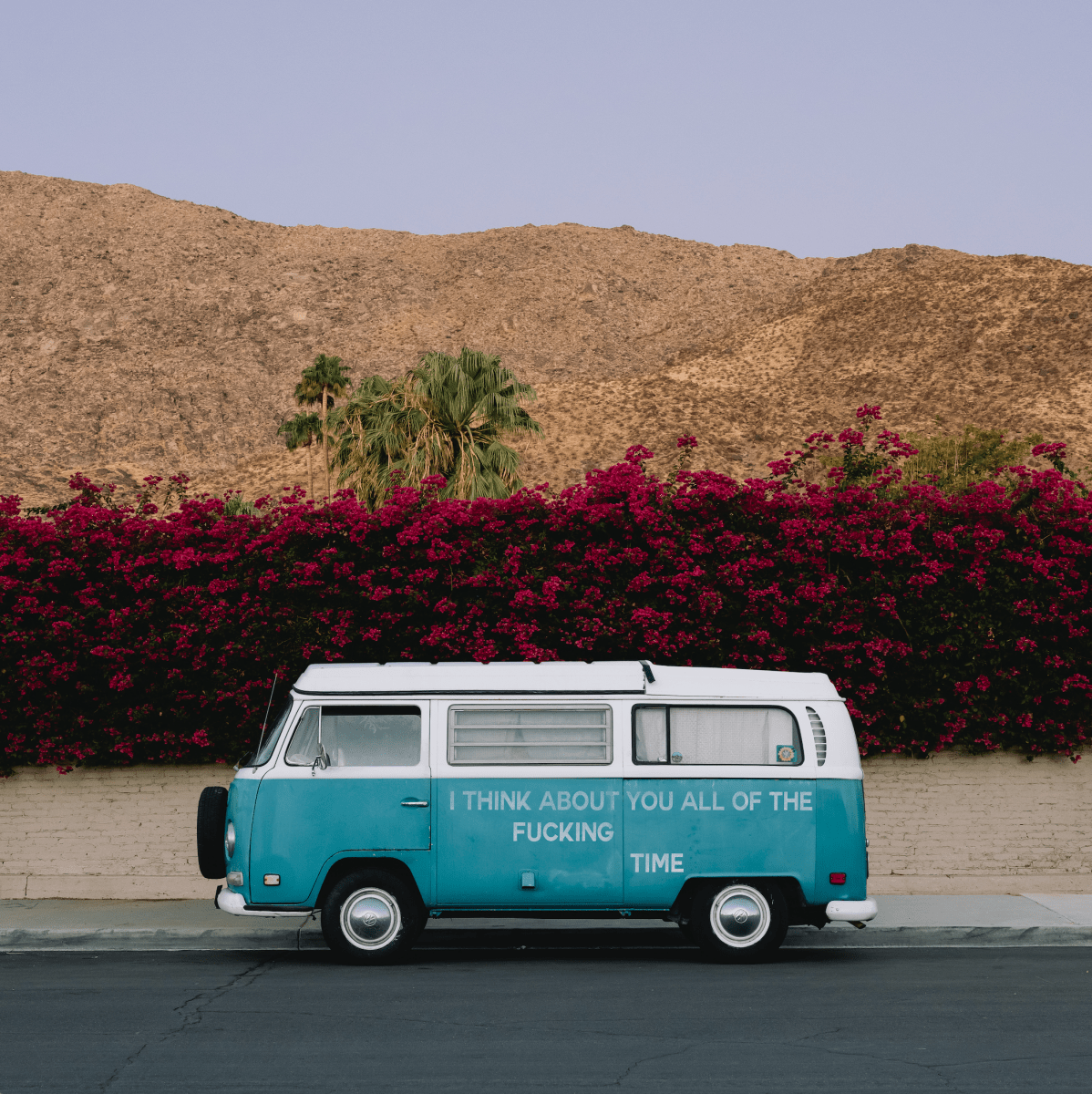 Jeffrey Czum Rose Ave, 2024 - Guy Hepner Editions