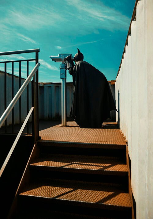 Sebastian Magnani Daily Bat – Sightseeing, 2020 - Guy Hepner Editions