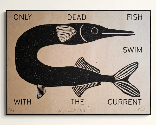 David Schmitt Only Dead Fish