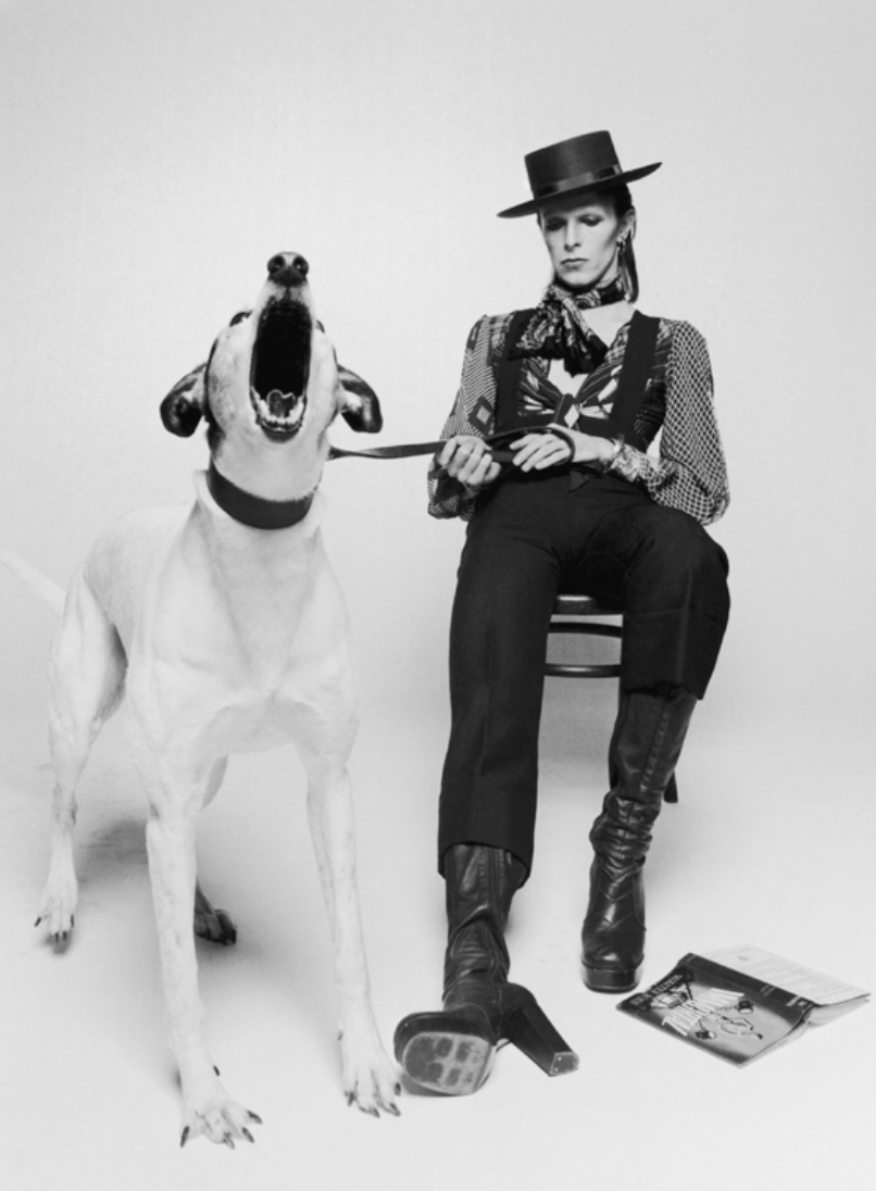 Terry O'Neill, David Bowie with Jumping Dog, view 2, 1974 - Guy Hepner Editions